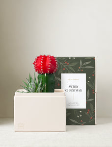 Christmas Joy Garden