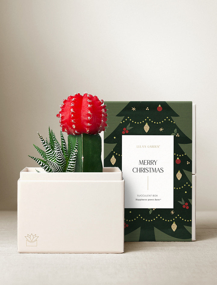 Christmas Joy Garden