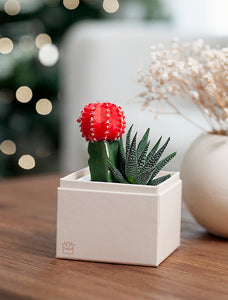 Christmas Joy Garden
