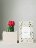Holiday Joy Garden & Soy Candle & Matches