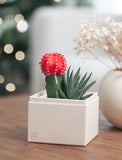 Holiday Joy Garden & Soy Candle & Matches