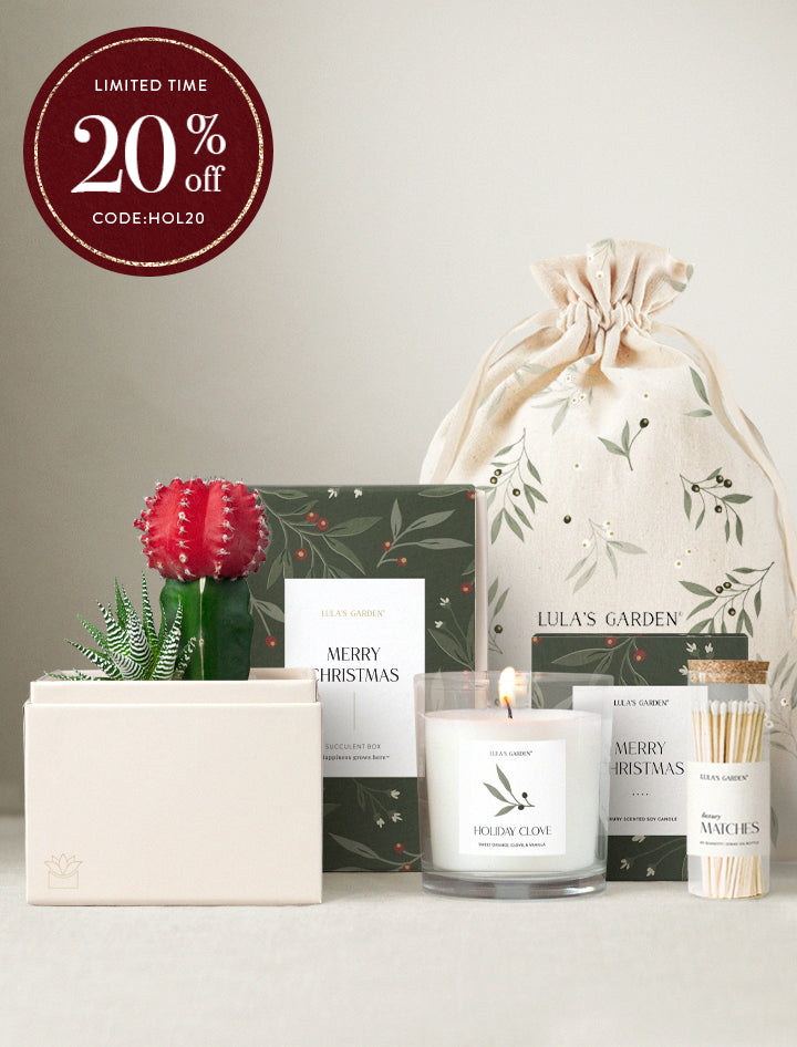 Christmas Joy Garden & Soy Candle & Matches