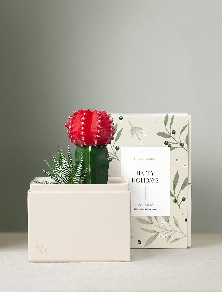 Holiday Corporate Joy Garden