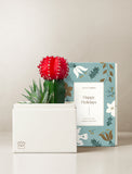A white gift box holding a bright red cactus and green succulent, placed beside a decorative gift box printed with floral illustrations and the text 'Happy Holidays' and 'Lula's Garden. - Image 