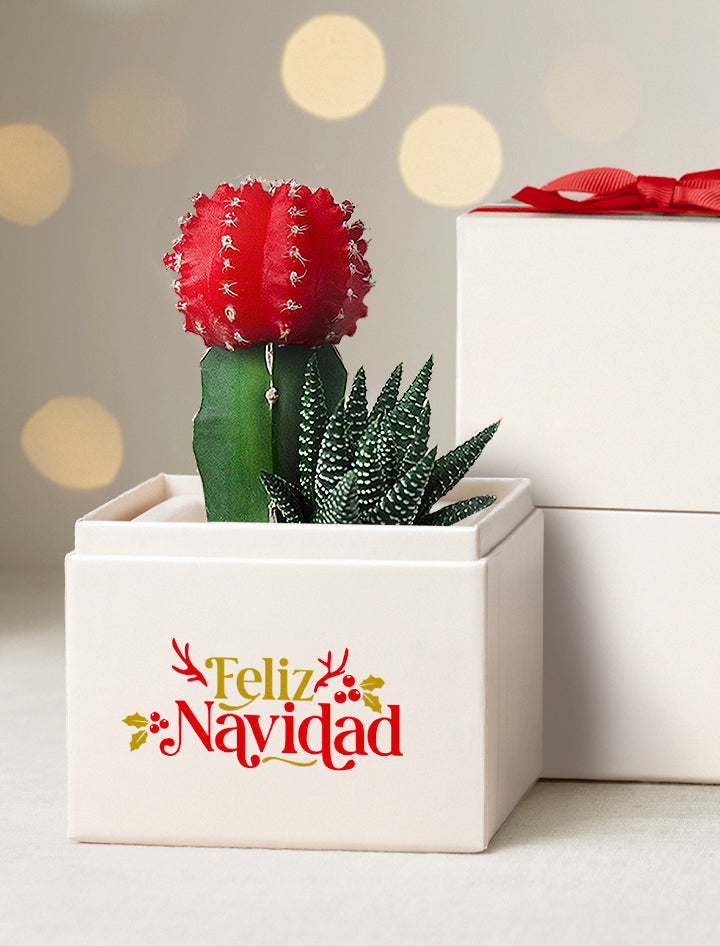Feliz Navidad Joy Garden