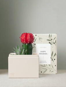 Holiday Joy Garden