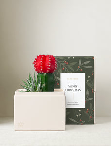 Christmas Joy Garden & Mister
