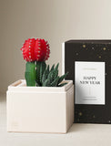 Red moon cactus and green zebra succulent in a cream-colored gift box next to a black Happy New Year sleeve. - Image 