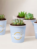 Lula's Favors 6-Pack Succulents - Just Engaged - Image 