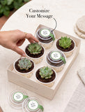 Lula's Favors 6-Pack Succulents - Just Engaged - Image 