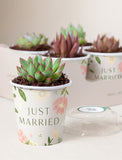 Lula's Favors 6-Pack Succulents - Just Married - Image 