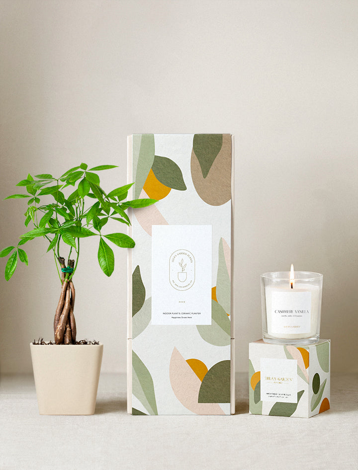 Everyday Gift | Plant Gifts