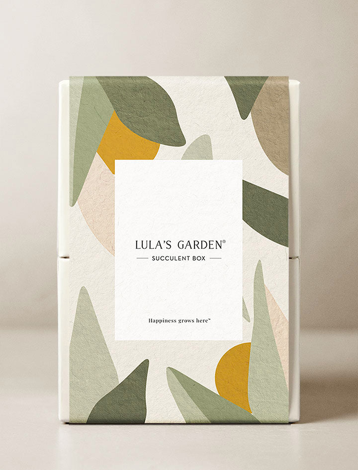 Mystery Garden