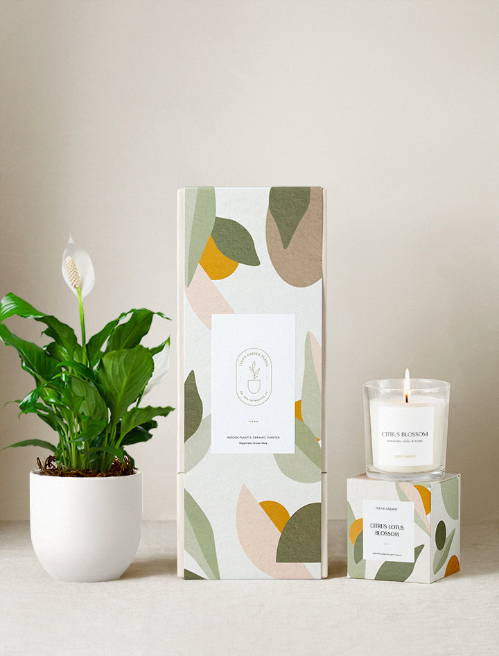 Lula's Garden Plant Gift Set