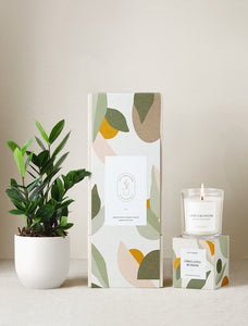 Lula's Garden Plant Gift Set