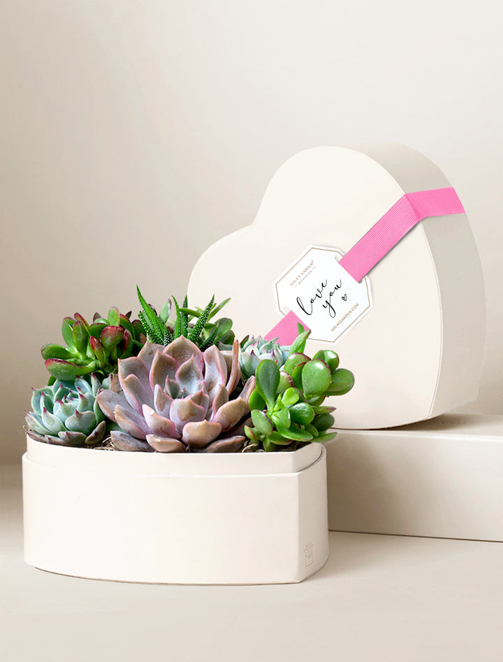hearts and flowers succulent Succulent Heart Gifts | Succulent Gardens | Lula's Garden