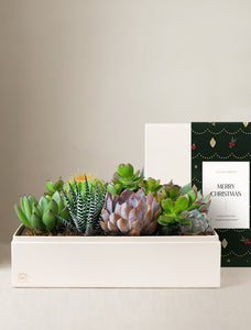 Christmas Lush Garden