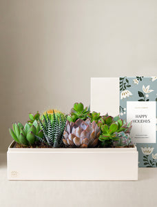 Holiday Lush Garden