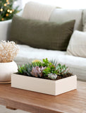 Holiday Lush Garden - Image 