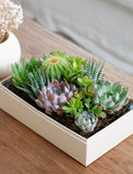 Holiday Lush Garden - Image 