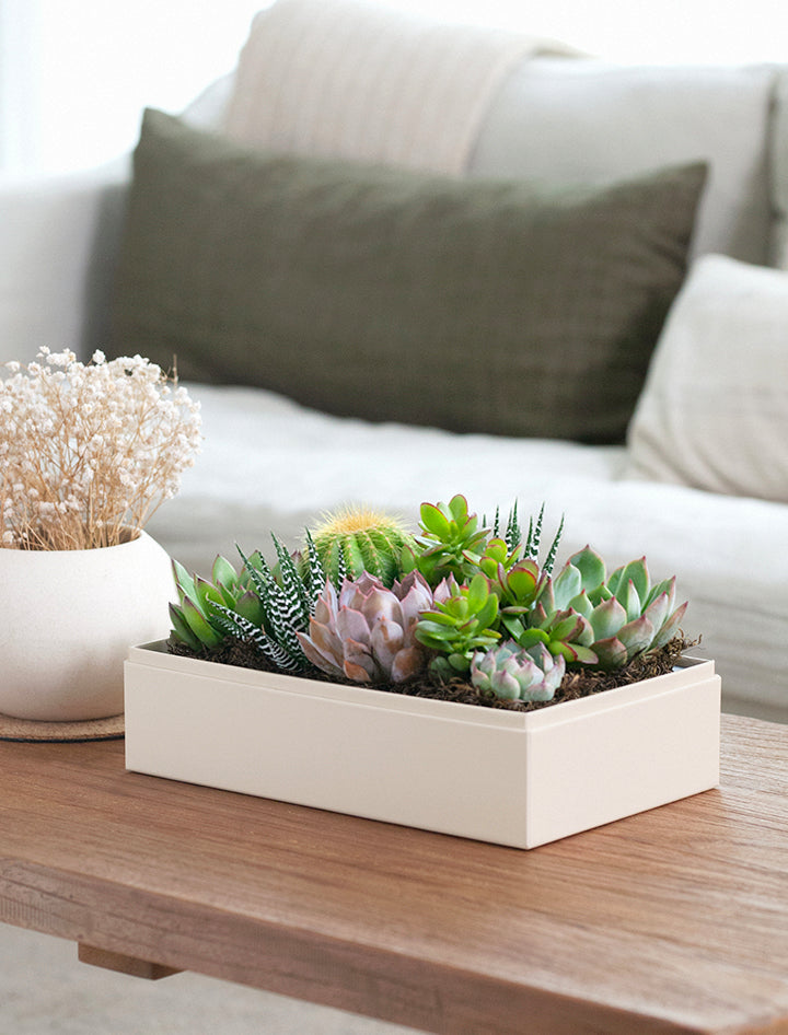 Christmas Lush Garden