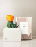 Lux Garden