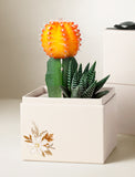 Vibrant orange moon cactus and green succulent in a cream gift box with autumn floral illustrations. - Image 