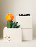 Bright orange moon cactus and green succulent in a cream gift box with a floral Thanksgiving design and black ribbon. - Image 