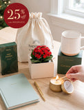 Plant in gift box and accessories on a table. - Image 