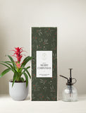 Christmas Red Bromeliad Plant & Mister