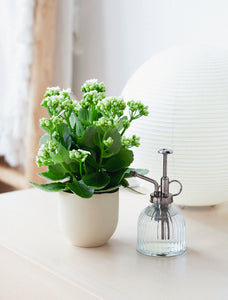 Plant Mister