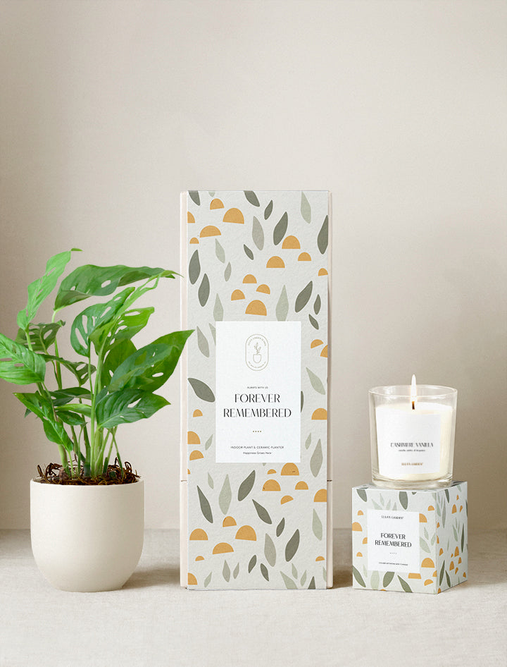 Forever Remembered Plant Gift Set