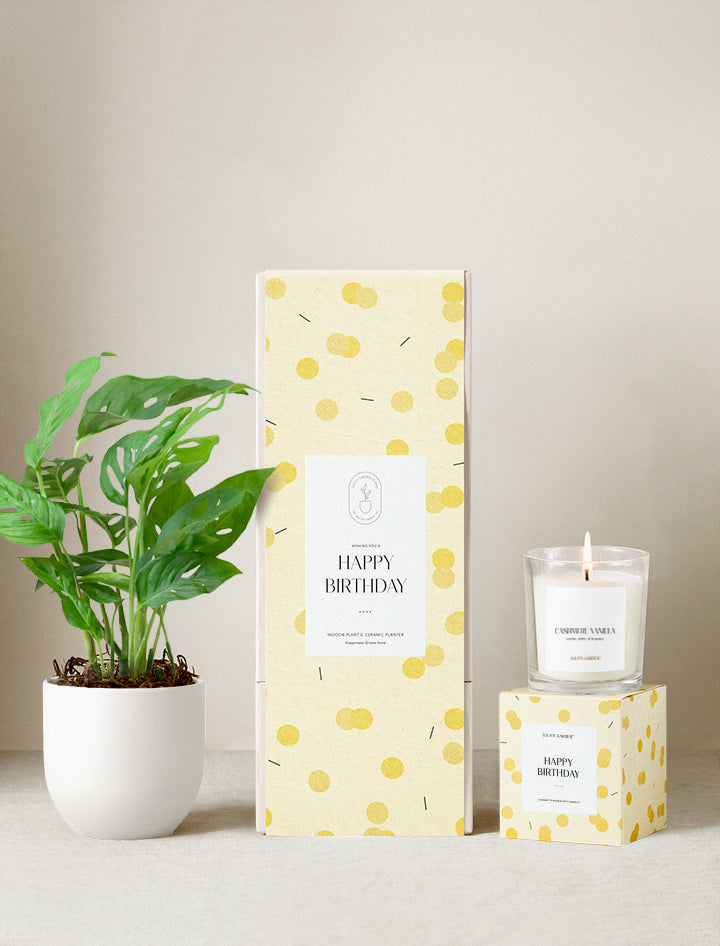 Happy Birthday Plant Gift Set