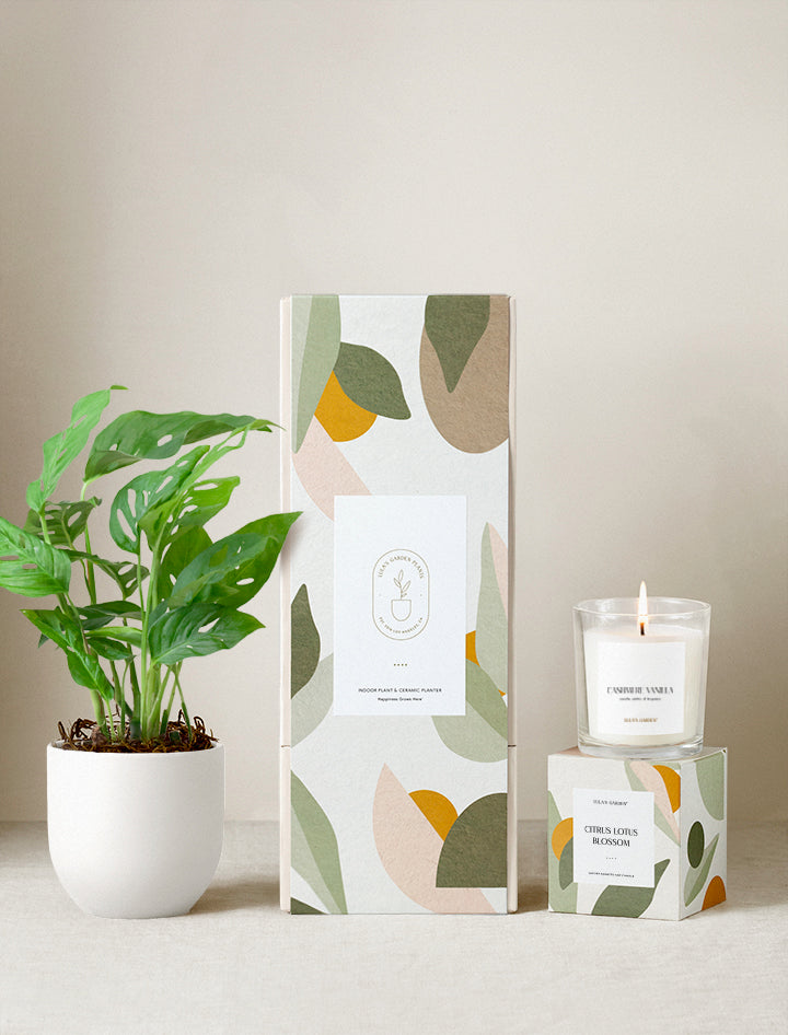 Lula's Garden Plant Gift Set