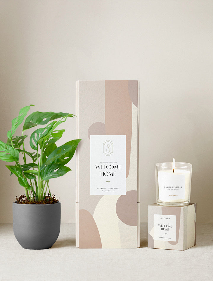 Welcome Home Plant Gift Set