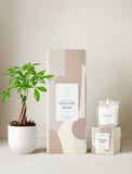 Welcome Home Plant Gift Set