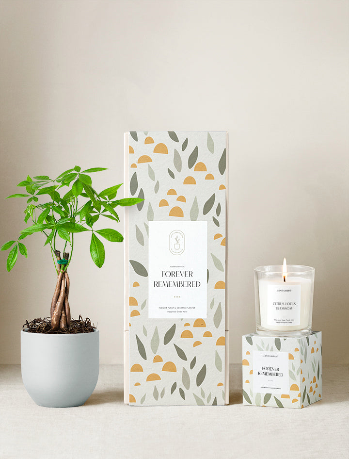 Sympathy Gift Plant Gifts Best Gifts For Plant Lovers Lula's Garden