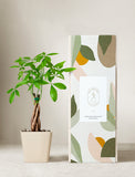 Plant in ceramic planter next to gift box. - Image 