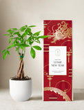 Lunar New Year Money Tree