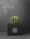 Halloween Noir Cacti Garden