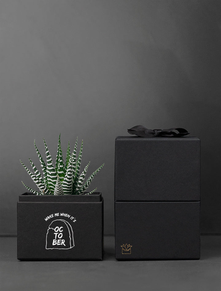 Halloween Noir Petite Zebra Garden