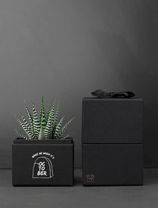 Halloween Noir Petite Zebra Garden