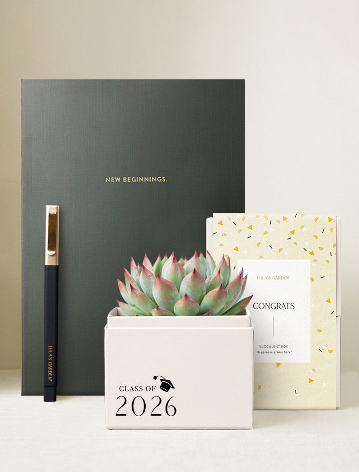 succulent notebook Graduation Gift | Congratulations Gift Delivery | Succulent Plant Gift Delivery