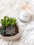 With Sympathy Small Heart Garden & Scented Candle - Image 