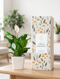 Forever Remembered Peace Lily Plant - Image 