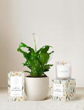 Forever Remembered Plant Gift Set