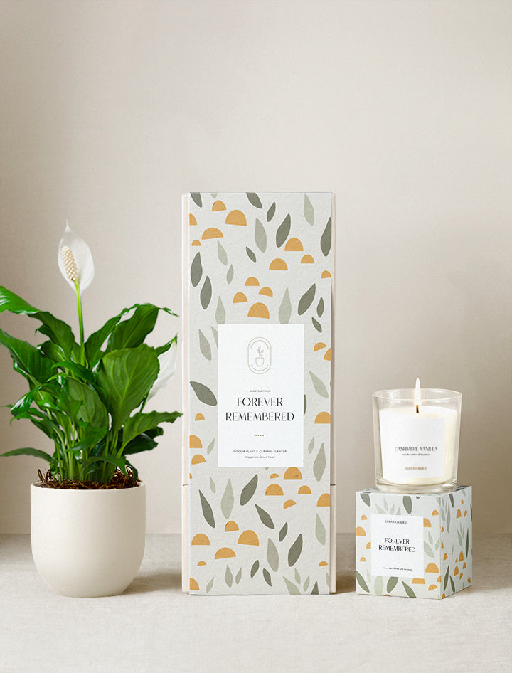 Forever Remembered Plant Gift Set