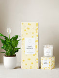 Happy Birthday Plant Gift Set