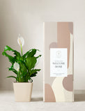 Plant in planter next to a gift box. - Image 