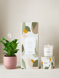 Lula's Garden Plant Gift Set